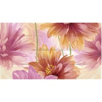 Ceradim Astra Dec Astra Panno B