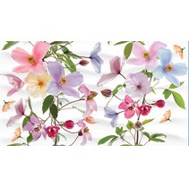 Ceradim Clematis Dec Clematis Panno B