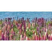 Декор Ceradim Flora Dec Flora