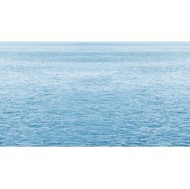Ceradim Flora Dec Regata 5