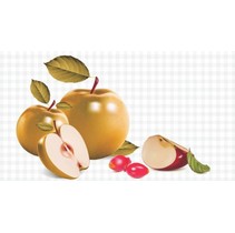 Ceradim Fruits Dec Fruits 3