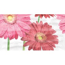 Ceradim Gerbera Dec Gerbera Panno A