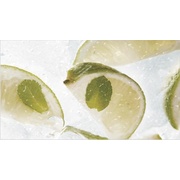 Декор Ceradim Mojito Dec 1