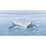 Декор Ceradim Ocean Decor