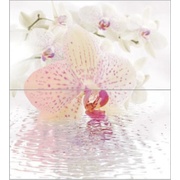 Панно Ceradim Orchid Dec Orchid Panno (из 2-х шт)