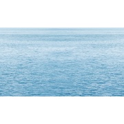 Декор Ceradim Reef Dec Regata 5