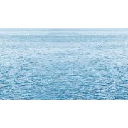 Декор Ceradim Regata Dec 5