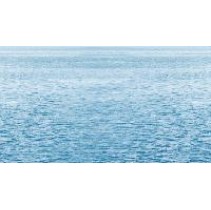 Ceradim Regata Dec 5