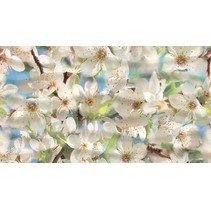Ceradim Spring Dec Panno B