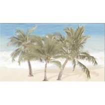 Ceradim Tropic Dec Tropic 3