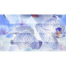 Ceradim Vanda Dec Vanda Panno A