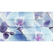 Декор Ceradim Vanda Dec Vanda Panno B