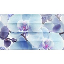 Ceradim Vanda Dec Vanda Panno B
