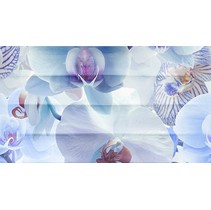 Ceradim Vanda Dec Vanda Panno C
