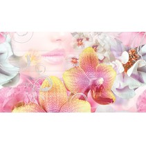 Ceradim Vision Dec Vision Panno B КПН16VisionB 25х45