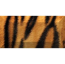 Ceramica Classic Africa Africa Бордюр рельефный br1020D210-1 20х10