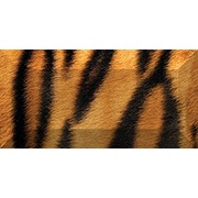 Бордюр Ceramica Classic Africa Africa Бордюр рельефный br1020D210-1 20х10