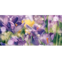 Ceramica Classic Crocus Crocus Панно P4D286 80х40 (из 4 плиток)