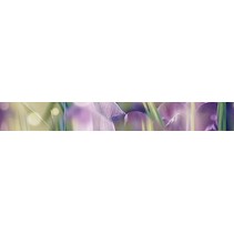 Ceramica Classic Crocus Crocus Бордюр B400D286 40х5