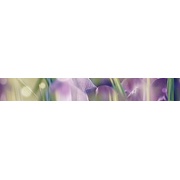 Бордюр Ceramica Classic Crocus Crocus Бордюр B400D286 40х5