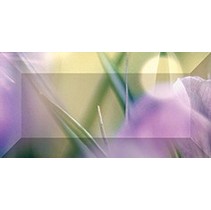 Ceramica Classic Crocus Crocus Бордюр рельефный br1020D286-1 20х10