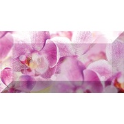 Бордюр Ceramica Classic Impression Impression Бордюр рельефный br1020D190-1 20х10