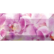 Ceramica Classic Impression Impression Бордюр рельефный br1020D190-1 20х10