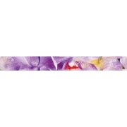 Бордюр Ceramica Classic Impression Impression Бордюр B400D190 40х4,5