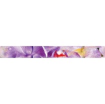 Ceramica Classic Impression Impression Бордюр B400D190 40х4,5