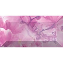 Ceramica Classic Magnolia Magnolia Бордюр рельефный br1020D297-1 20х10