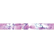 Ceramica Classic Magnolia Magnolia Бордюр B400D297 40х4,5