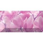 Бордюр Ceramica Classic Magnolia Magnolia Бордюр рельефный br1020D297-2 20х10