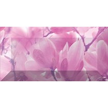 Ceramica Classic Magnolia Magnolia Бордюр рельефный br1020D297-2 20х10