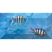 Ceramica Classic Ocean Deep Бордюр рельефный br1020D302_228-2 20х10
