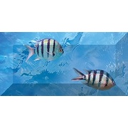 Бордюр Ceramica Classic Ocean Deep Бордюр рельефный br1020D302_228-2 20х10