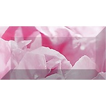 Ceramica Classic Peony Peony Бордюр рельефный br1020D281-2 20х10
