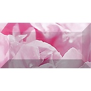 Бордюр Ceramica Classic Peony Peony Бордюр рельефный br1020D281-2 20х10