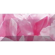 Бордюр Ceramica Classic Peony Peony Бордюр рельефный br1020D281-1 20х10