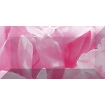 Ceramica Classic Peony Peony Бордюр рельефный br1020D281-1 20х10