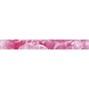 Бордюр Ceramica Classic Peony Peony Бордюр B400D281 40х4,5