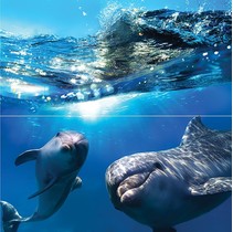 Ceramica Classic Waterlife Dolphins Панно 50x50