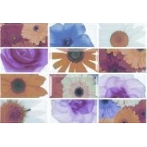 Ceramicalcora Biselado Decorado Bocana (комп-т из 12 шт)