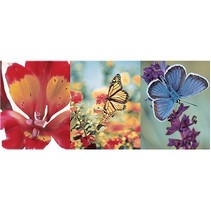 Ceramicalcora Washington Decorado Mariposa 4