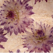 Панно Ceramicas Myr Dayno Dec. 809 beige set. 3