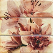 Панно Ceramicas Myr Emperador Beige D-823