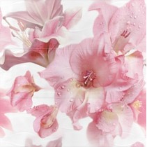 Ceramicas Myr Harmony malva Decor-857