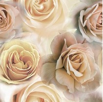 Ceramicas Myr Manhattan D-843 Beige