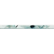 Бордюр Ceramicas Myr Moon List. 818 Azul