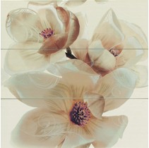 Ceramicas Myr Niza Beige Decor-806