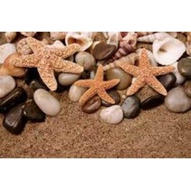 Ceramika Color Sonora Shells (из 2 шт)